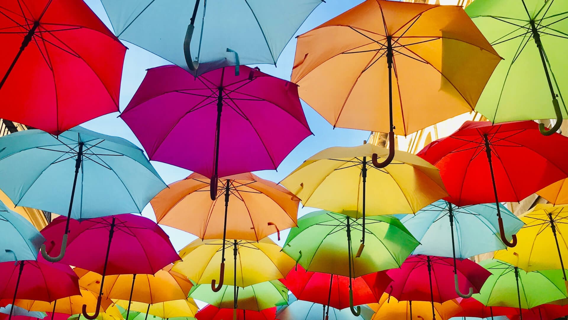 immagine di ombrelli
